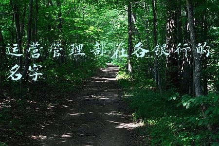 运营管理部在各银行的名字