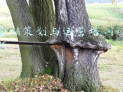 营销策划与运营培训视频