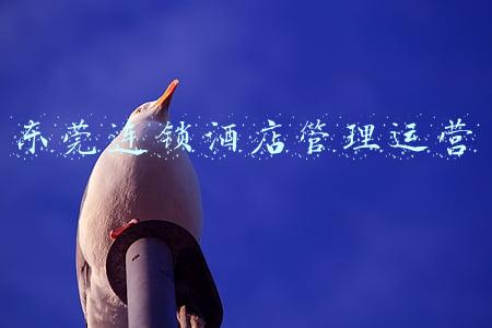 东莞连锁酒店加盟多少钱(东莞福禧合家欢加盟案例)
