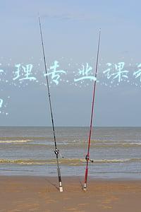 财务管理专业课程与运营能力