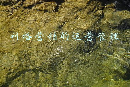 网络营销的运营管理