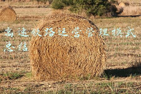 高速铁路运营管理模式总结