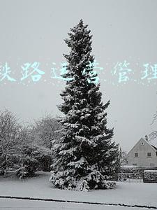 铁路一体化管理总结(京津冀飞地“北三县”：加快推进与北京通州一体化发展)