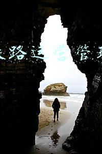 高速铁路运营管理模式总结