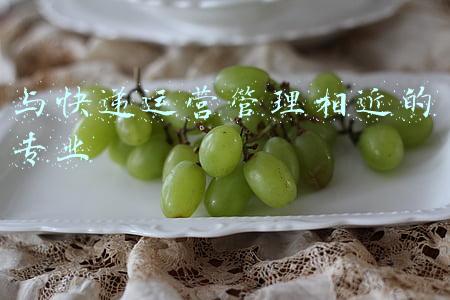 与快递运营管理相近的专业