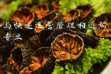 与快递运营管理相近的专业