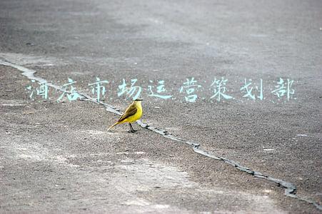 酒店市场运营策划部