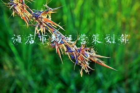 酒店营销与策划(锁定大量客户的酒店营销策划方案)