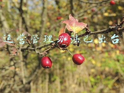运维管理办法(无人值守变电站运维管理规定)