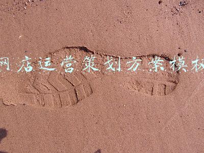 网店运营策划方案模板