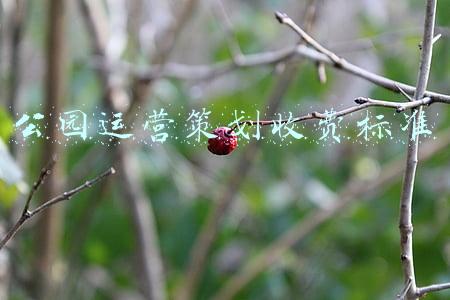 公园设计费 收费标准(期待值拉满！宝山这块公共绿地设计方案正在公示→)