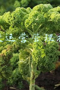 驾校运营管理技巧