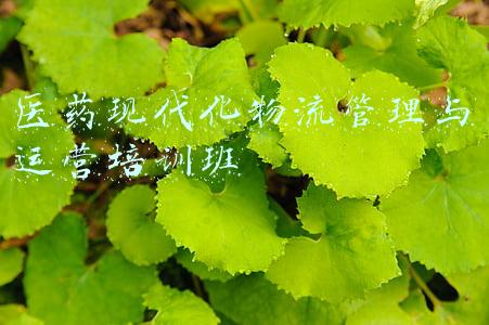 物流管理课程(自考｜物流管理都考些什么？)