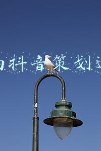 湖南长沙抖音运营团队(2021长沙市新媒体年度影响力评选开始，请为我们投票吧！)