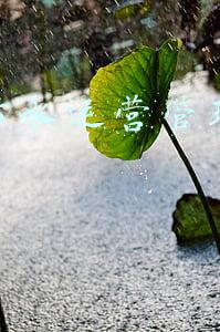 生活污水运营管理考核方式