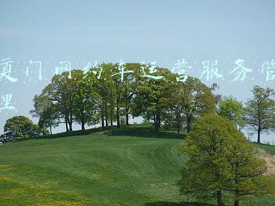 厦门网约车营运证办理(闹心！厦门一男子交14万全款买新能源车，东西没到手卖家玩失踪)