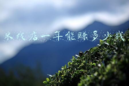 米线店一年能赚多少钱 米线店一年能赚多少钱