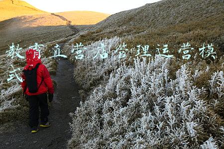 教育直营店管理运营模式