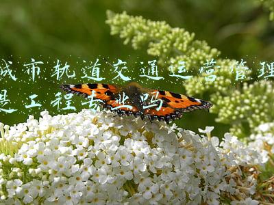 城市轨道交通运营管理专业是做什么的(高考志愿填什么｜交通运输-城市轨道交通运营管理专业来了~)