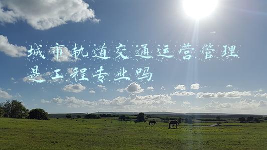 城市轨道交通运营管理是什么专业类别(高职扩招城市轨道交通运营管理专业详解)