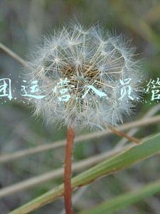 美团运营人员管理