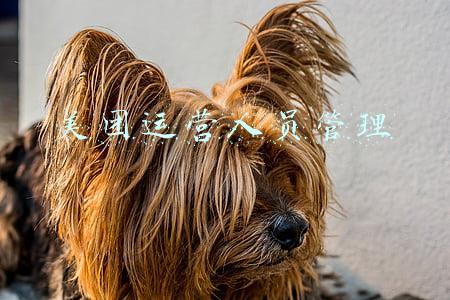 美团运营人员管理