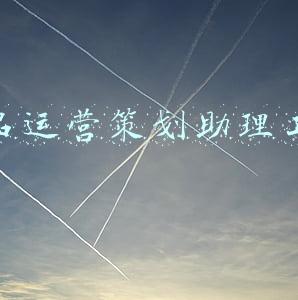 产品运营策划岗位职责(淘宝团队建设策划方案，详细的团队架构)