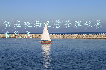 供应链与运营管理领导者气质