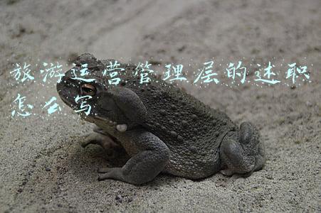 乡村旅游运营管理方案(4个国内外乡村旅游经典案例，总结13条运营经验)