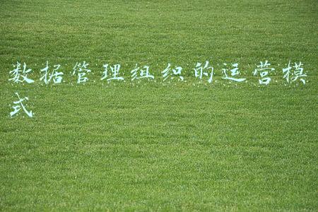 数据中心运营模式(达观为某城商行构建数字员工卓越中心，提升RPA的开发及运营能力)