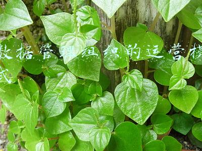 大数据财务管理模式(西安思源学院文商学院大数据与财务管理专业系列实践教学效果好)