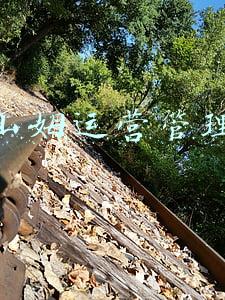 山姆运营管理