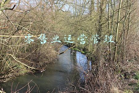 零售业运营管理