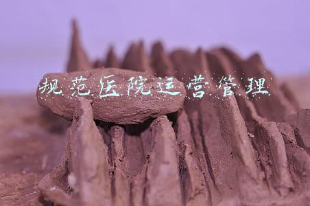 医院规范化管理(医院人事工作制度（28）、住院医师规范化培训管理办法（试行）)