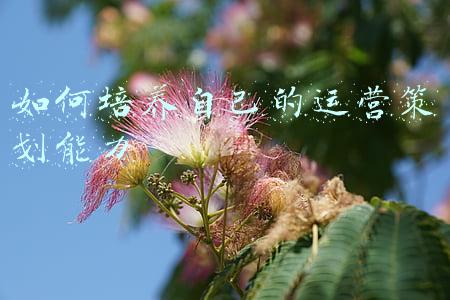 如何提升自己的策划能力(于斐老师谈：2022年企业拓展市场，如何提升营销策划能力？（下）)