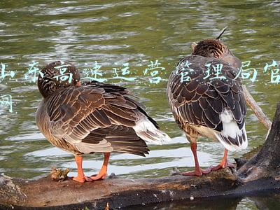 山东高速运管中心(山东高速股份有限公司菏泽运管中心到市检察院交流党建工作)