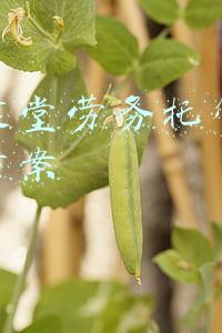 食堂托管经营方案(学校食堂承包托管经营，怎么写好学生就餐方案？)
