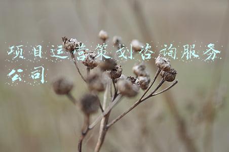 企业运营策划公司(企业家专访｜深圳壹加品牌运营策划董大明：聚焦成长，赋能品牌)