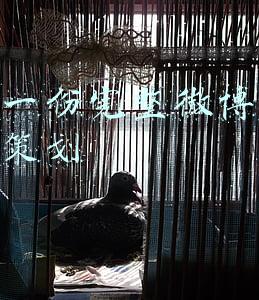 制作一份完整微博运营定位策划