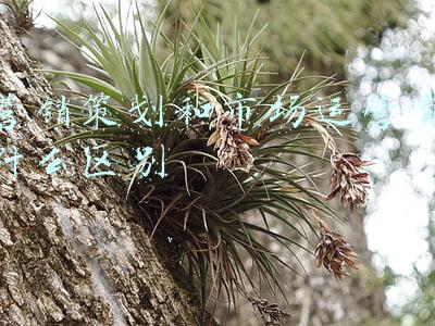 市场策划和市场营销的区别(漫谈《市场营销学》之市场营销的核心概念（2/5）)
