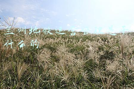 兰州地铁运营管理是干什么的