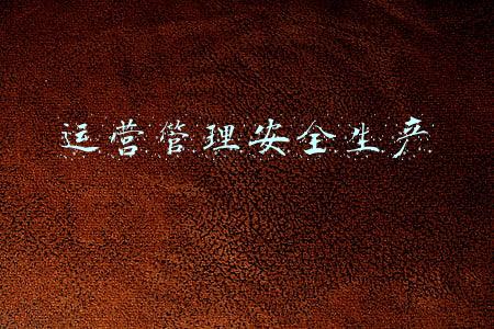 生产经营安全(我国修改《中华人民共和国安全生产法》 明确生产经营单位负责人与政府相关部门生产工作职责)