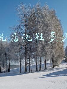 干洗店洗鞋大概多少钱,干洗店一般洗鞋多少钱