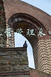 承德运营管理来电咨询