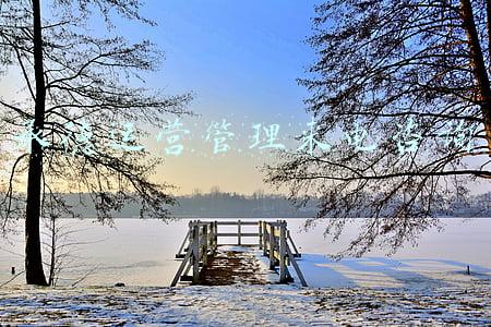 承德运营管理来电咨询