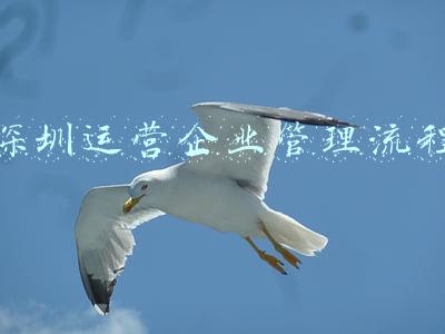 深圳运营企业管理流程