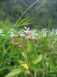 深圳运营企业管理流程 深圳运营企业管理流程