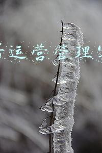 公众号运营管理实施办法