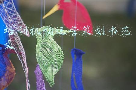 培训机构运营策划书范文