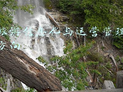 旅游管理专业就业方向(旅游管理类专业：本科高校常见专业，多样化的发展前景值得期待)